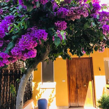 Bed and Breakfast Le Stanze Di Botticelli Térmoli Exterior foto