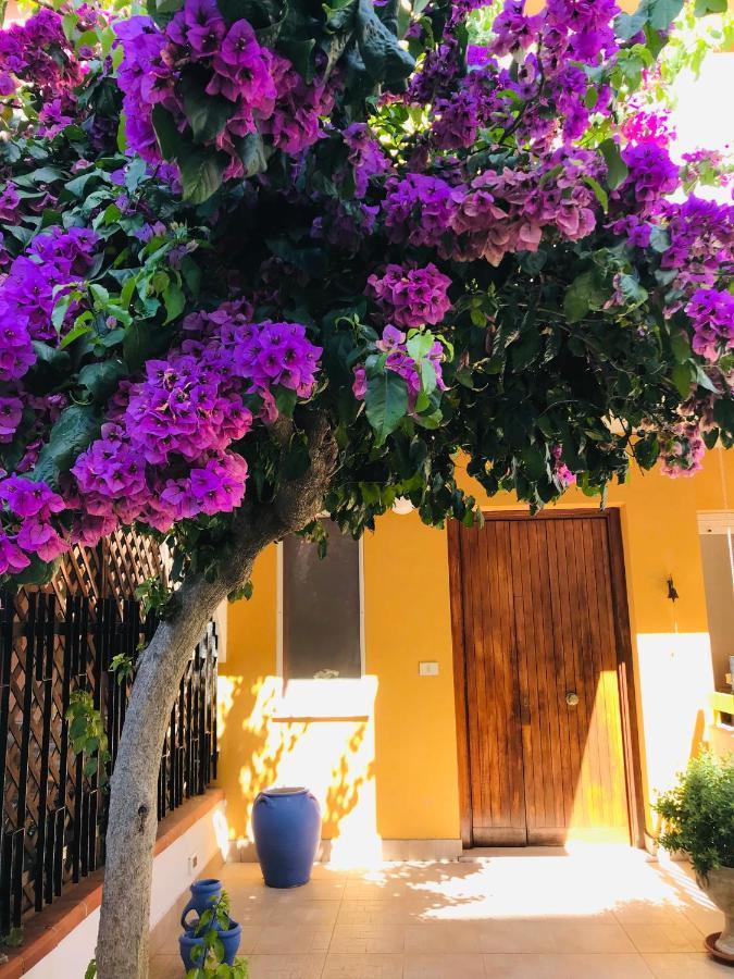 Bed and Breakfast Le Stanze Di Botticelli Térmoli Exterior foto